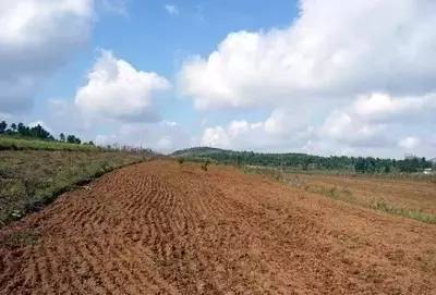 全球視野下的土壤治理 污染防治服務(wù)的國際經(jīng)驗與啟示